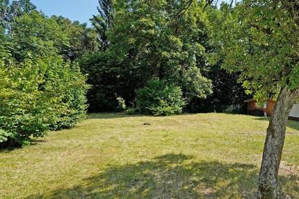 Baugrundstück für Einfamilienhaus direkt am Waldrand. - Grundstück Rückersdorf 10809574154 | Angebot:27513593