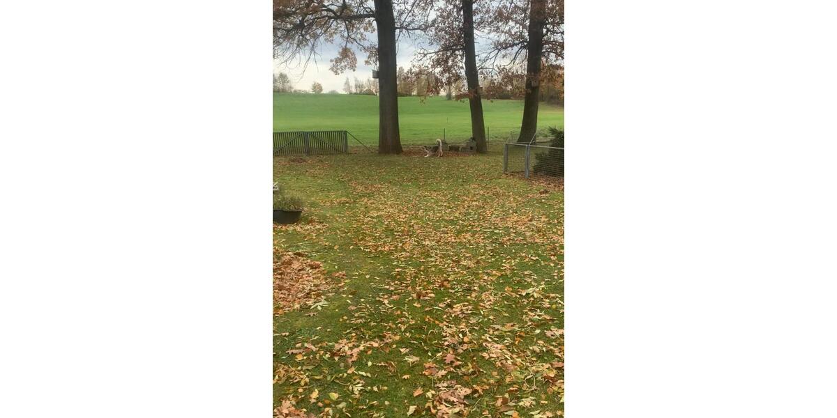 5 Zimmer Wohnung am Rothsee mit großem Grundstück 5 zimmer