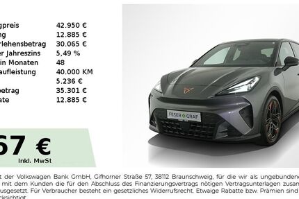 Cupra Raval 9.999 km 42.950 &euro; Nürnberg 90441