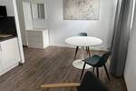 Business-Wohnen - Neu und sehr geschmackvoll möbliertes 1 Zimmer-Appartement im EG, Außenstellplatz oder TG-Stellplatz optional 1 zimmer