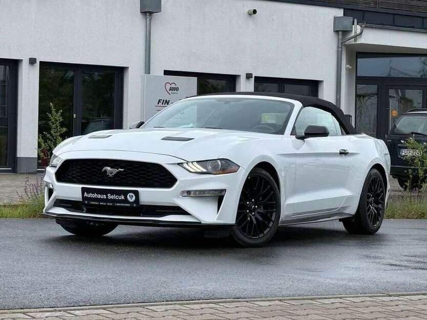 Mustang