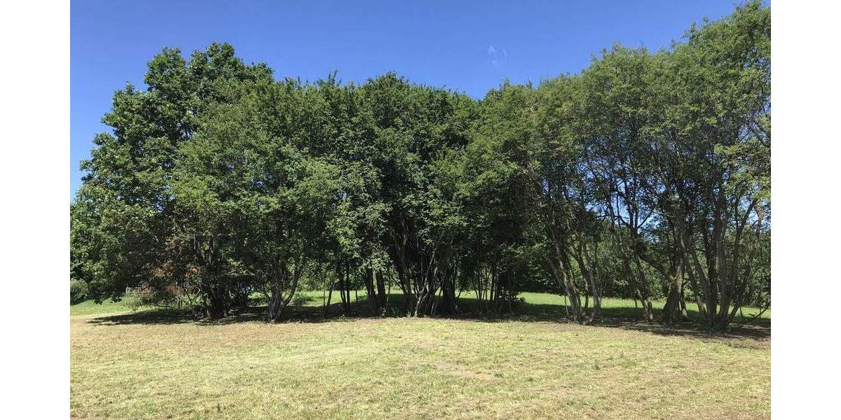 Grundstück Forchheim Burk - 452.925&euro; | Angebot:25701593