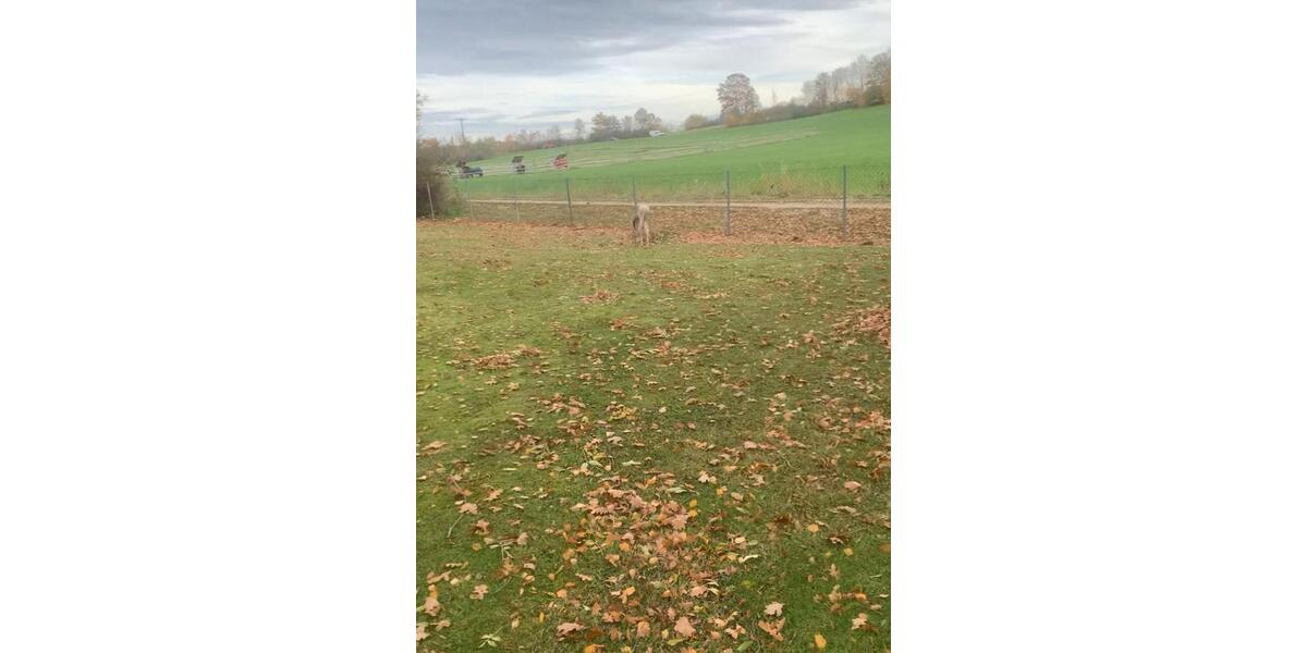 5 Zimmer Wohnung am Rothsee mit großem Grundstück 5 zimmer