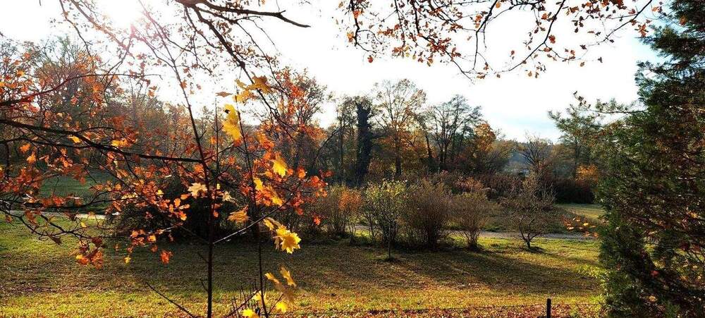 Grundstück Nürnberg Reichelsdorf - 269.000&euro; | Angebot:24845453