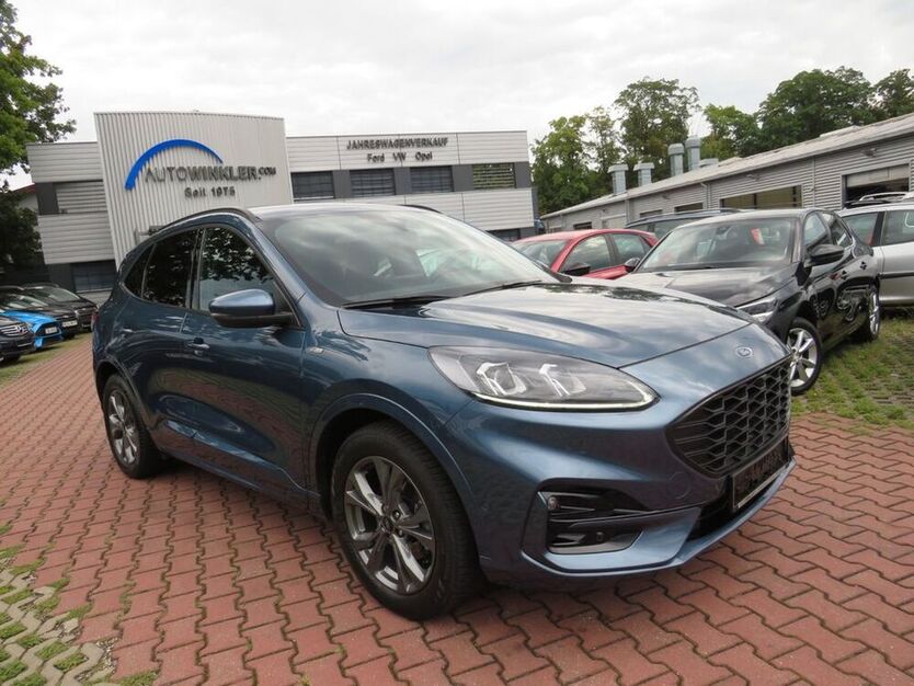 Kuga