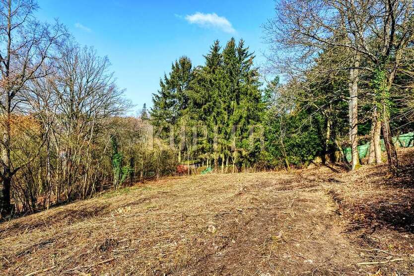 Grundstück zu verkaufen in Forchheim 750.000 € 1581 m²