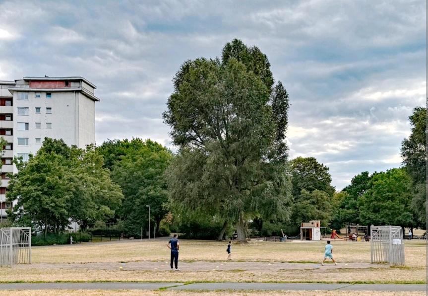 WG Zimmer in 3 Zimmer Wohnung in Zweier Frauen WG 1 zimmer
