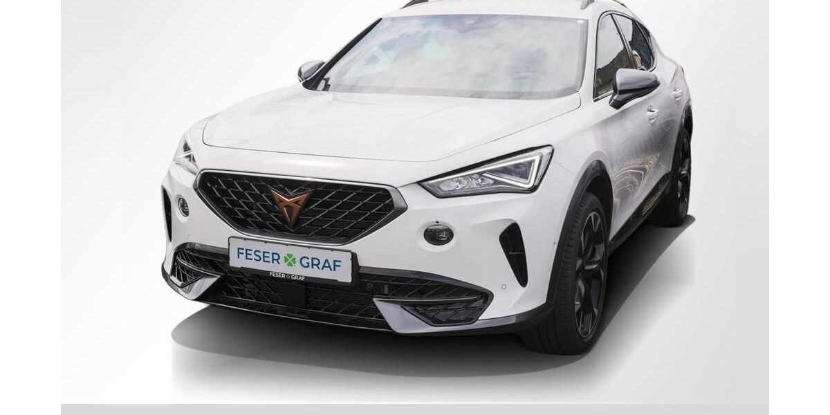 Cupra Formentor 26.234 km 29.750 &euro; Lauf an der Pegnitz 91207