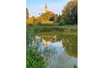 Doppelhaushälfte Lauf an der Pegnitz - 4 Zimmer, 130 m&sup2;, 469.000&euro; | Angebot:26043981