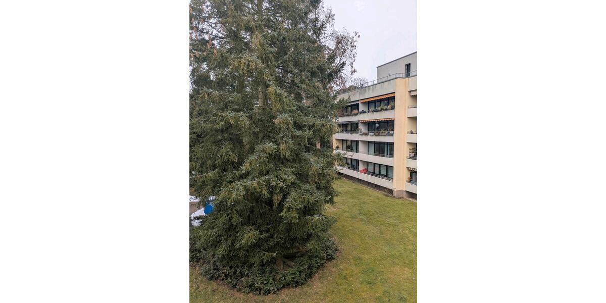 Dachgeschoßwohnung Fürth Südstadt - 2 Zimmer, 64 m&sup2;, 249.000&euro; | Angebot:24830429