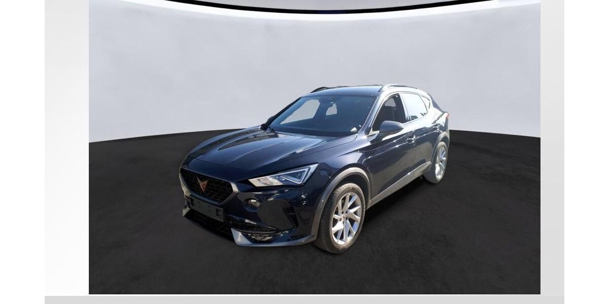 Cupra Formentor 39.850 km 23.750 &euro; Lauf an der Pegnitz 91207