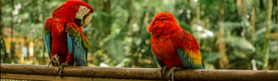 Tiergarten Nürnberg