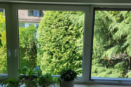 Wohnung Nürnberg Almoshof - 2 Zimmer, 58 m&sup2;, 740&euro; | Angebot:25804194