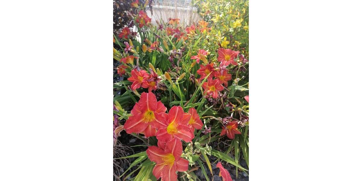 Etagenwohnung Nürnberg Steinbühl - 2 Zimmer, 73 m&sup2;, 298.000&euro; | Angebot:25391829