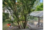Erdgeschoßwohnung Nürnberg Gebersdorf - 3 Zimmer, 75 m&sup2;, 295.000&euro; | Angebot:27231114