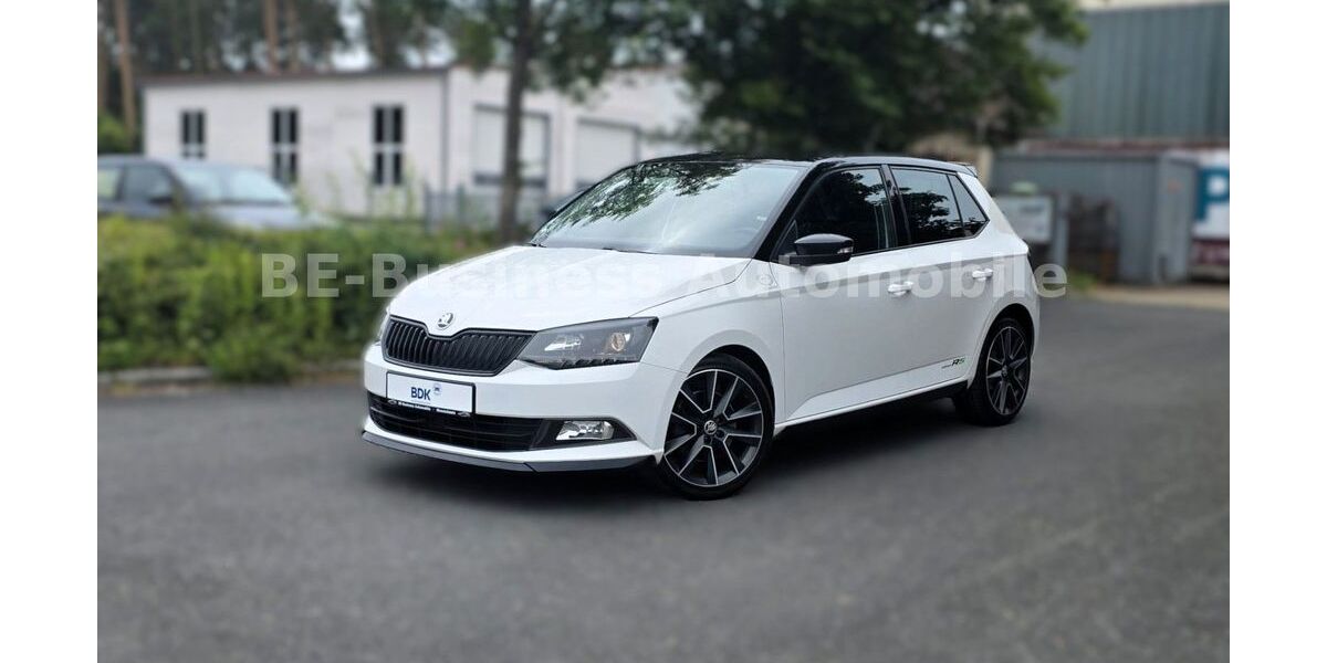Skoda Fabia 123.250 km 12.390 &euro; Wendelstein 90530
