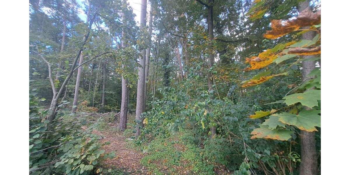 Einfamilienhaus Nürnberg Reichelsdorf - 9 Zimmer, 188 m&sup2;, 799.990&euro; | Angebot:23947481