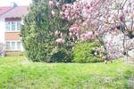 Mehrfamilienhaus, Wohnhaus Nürnberg Mögeldorf - 6 Zimmer, 155 m&sup2;, 997.000&euro; | Angebot:26154496