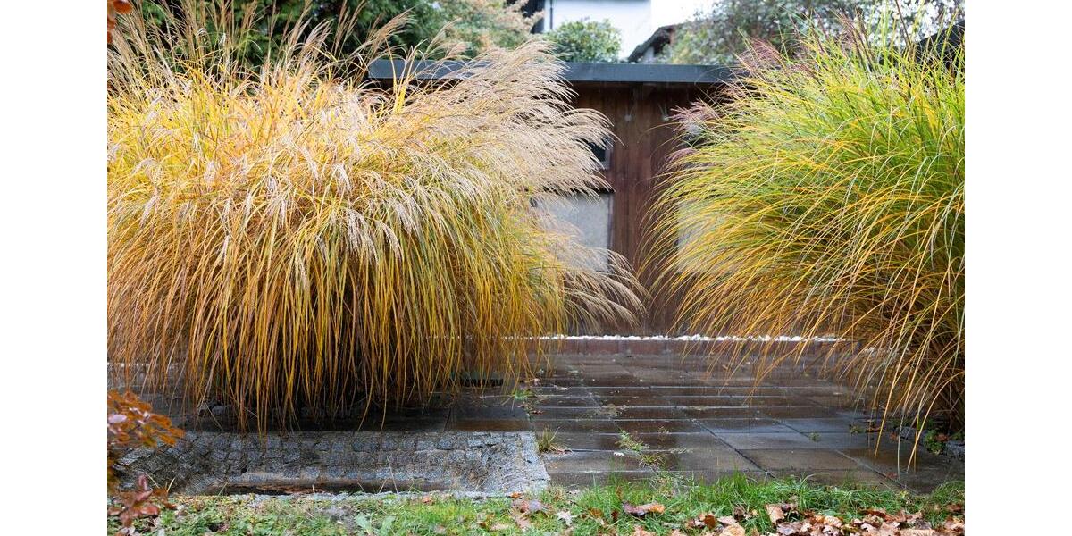 Einfamilienhaus mit Traumgrundstück in ruhiger Lage 5 zimmer