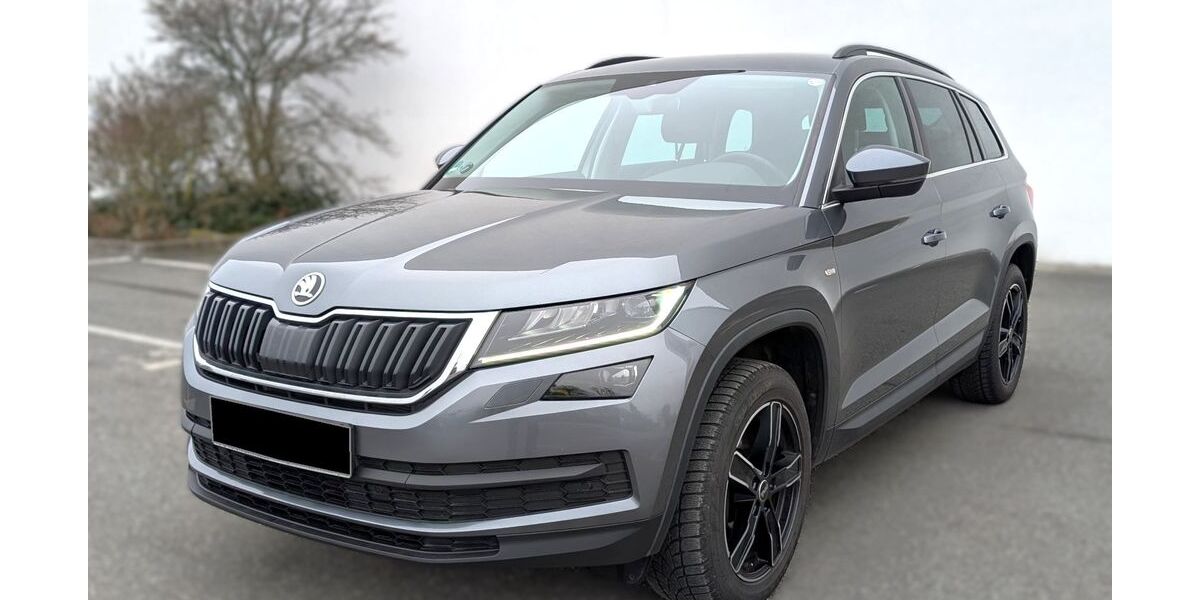 Skoda Kodiaq 155.300 km 21.790 &euro; Fürth 90765
