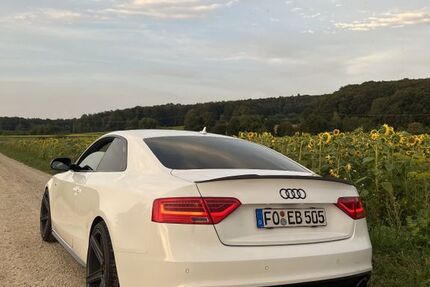 Audi A5 210.000 km 15.500 € Gräfenberg 91322