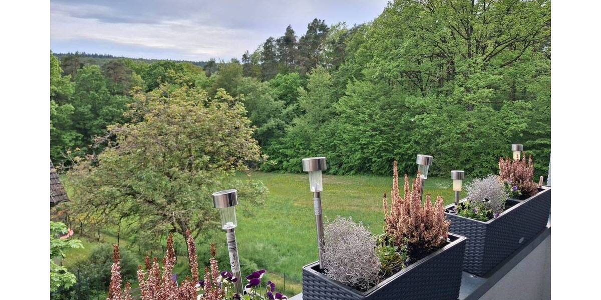 Etagenwohnung Forchheim Burk - 2 Zimmer, 64 m&sup2;, 650&euro; | Angebot:26450965