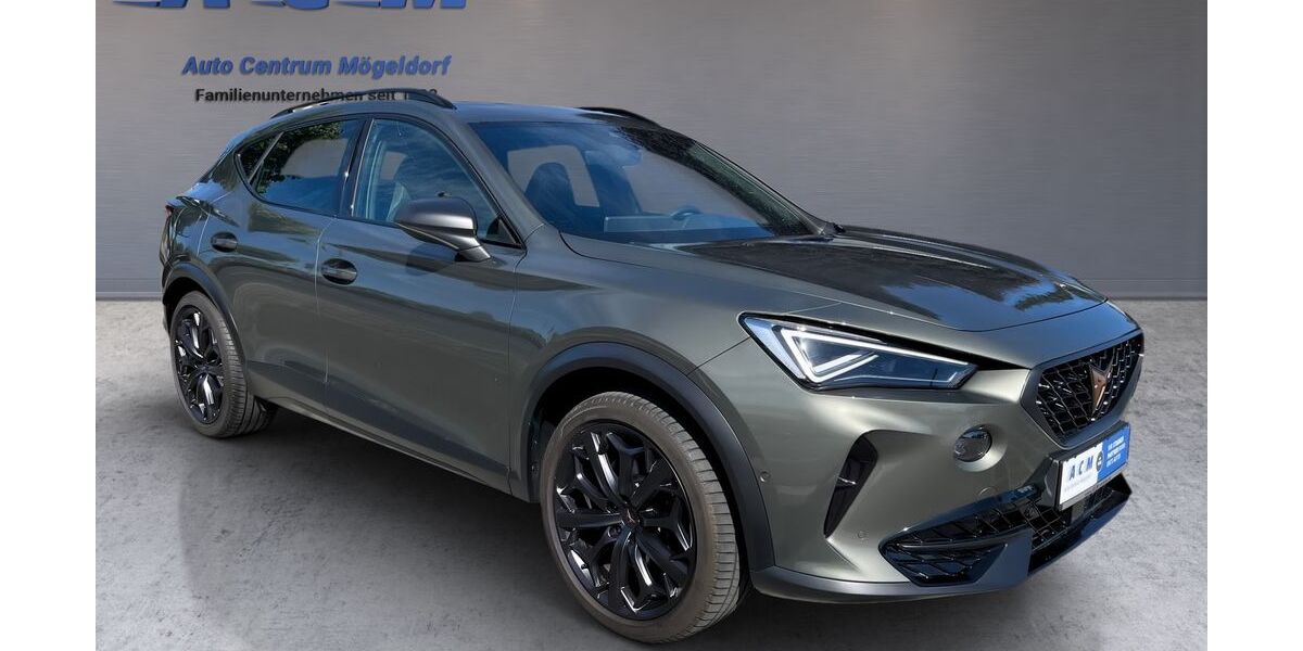 Cupra Formentor 17.400 km 30.790 &euro; Nürnberg 90482