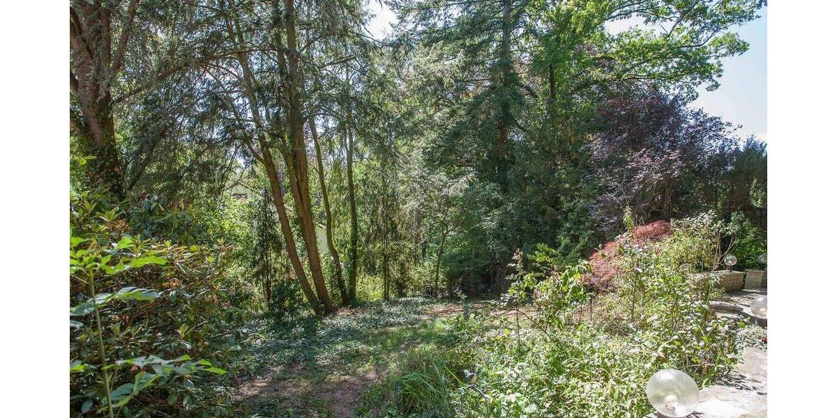 +++BEAUTIFUL LOCATION - Wohnen am Eichenwald+++ 5 zimmer