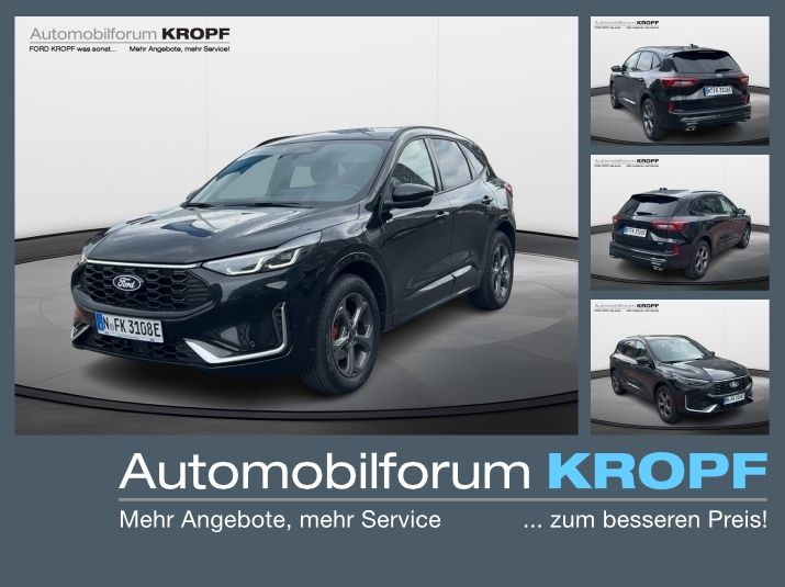 Kuga