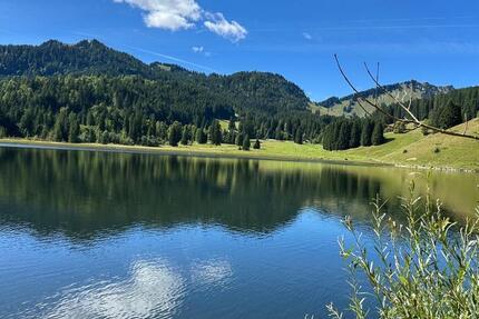 1-Zimmer-Apartment in Schliersee zimmer