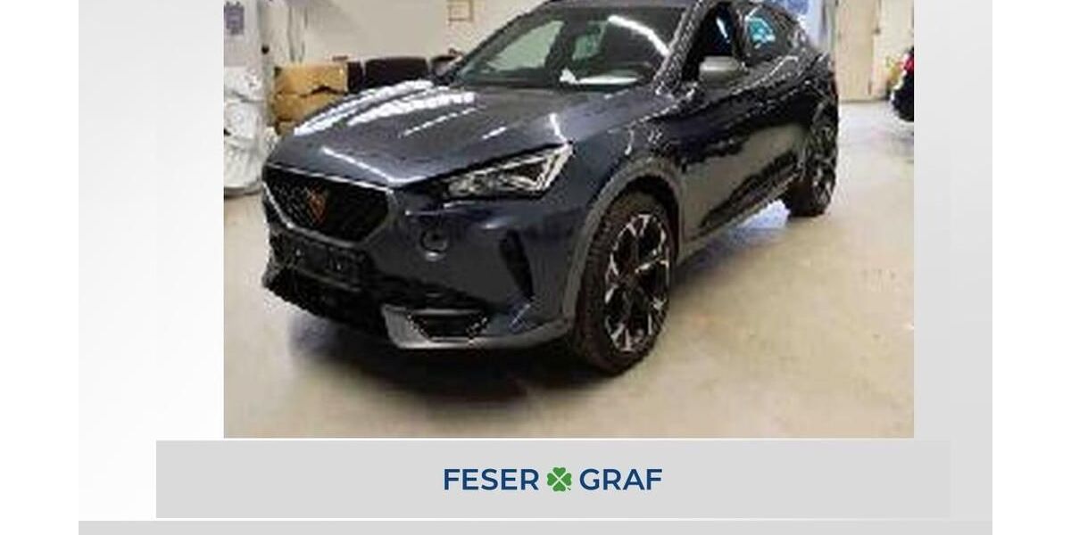 Cupra Formentor 25.150 km 28.250 &euro; Lauf an der Pegnitz 91207