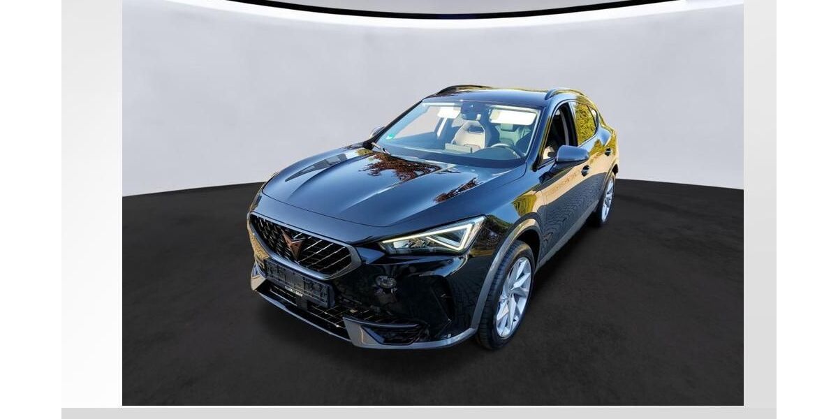 Cupra Formentor 48.800 km 22.940 &euro; Forchheim 91301