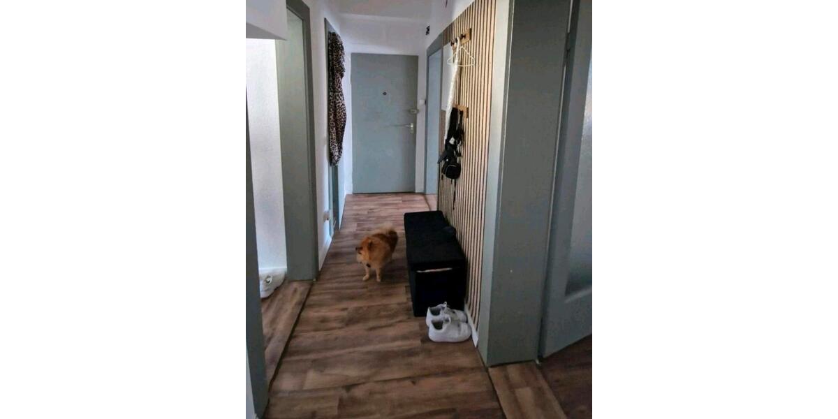 Etagenwohnung Nürnberg Hasenbuck - 2.5 Zimmer, 56 m&sup2;, 728&euro; | Angebot:26439425