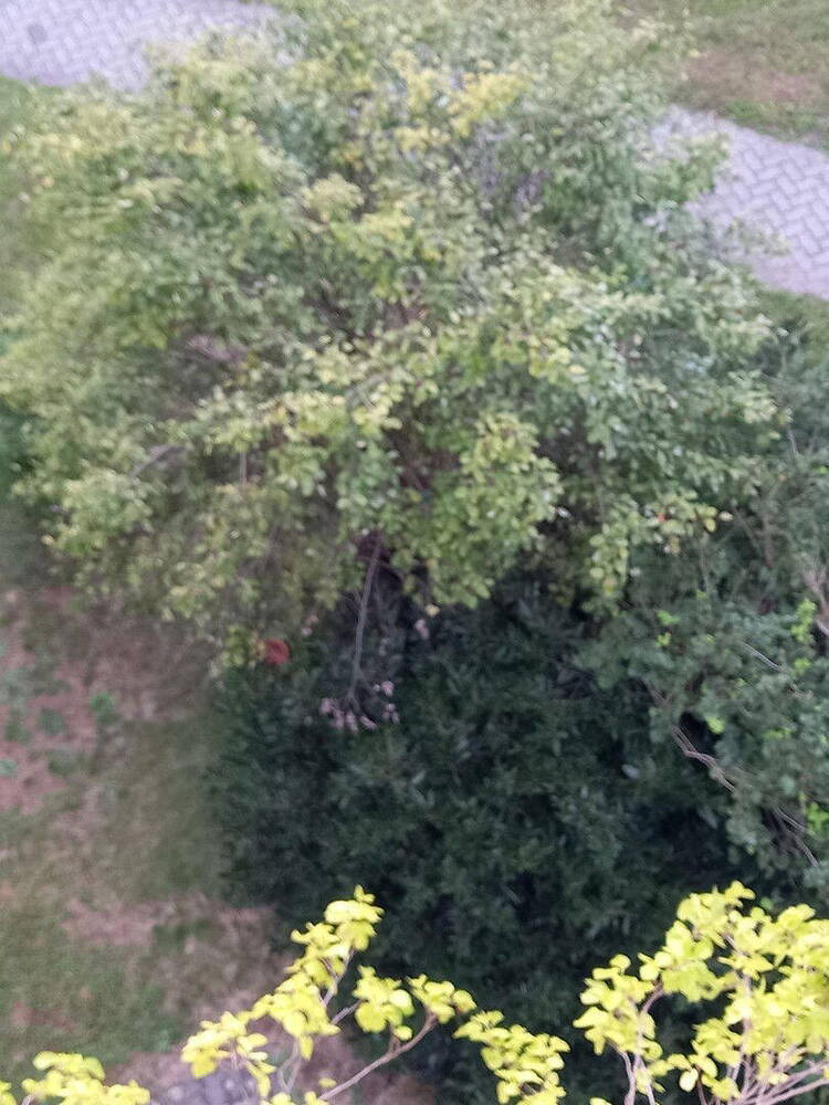 Top Wohnung in beliebter Lage (privat nicht mehr)