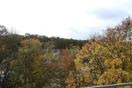 Machen Sie Ihren Traum von 4 eigenen Wänden wahr!!! Gemütliche 2 Zimmerwohnung mit Balkon 2 zimmer