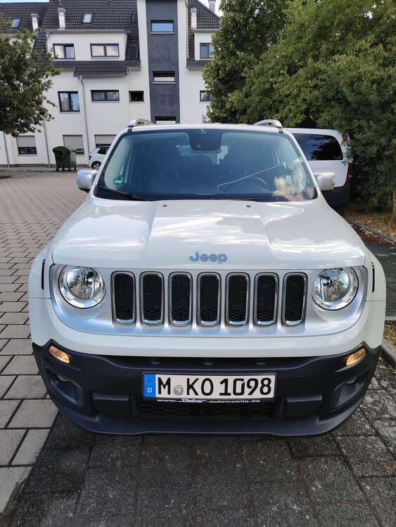 Renegade
