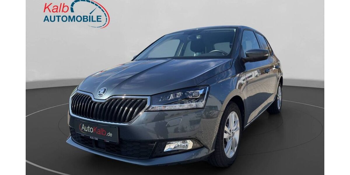 Skoda Fabia 47.460 km 13.444 &euro; Schnaittach 91220