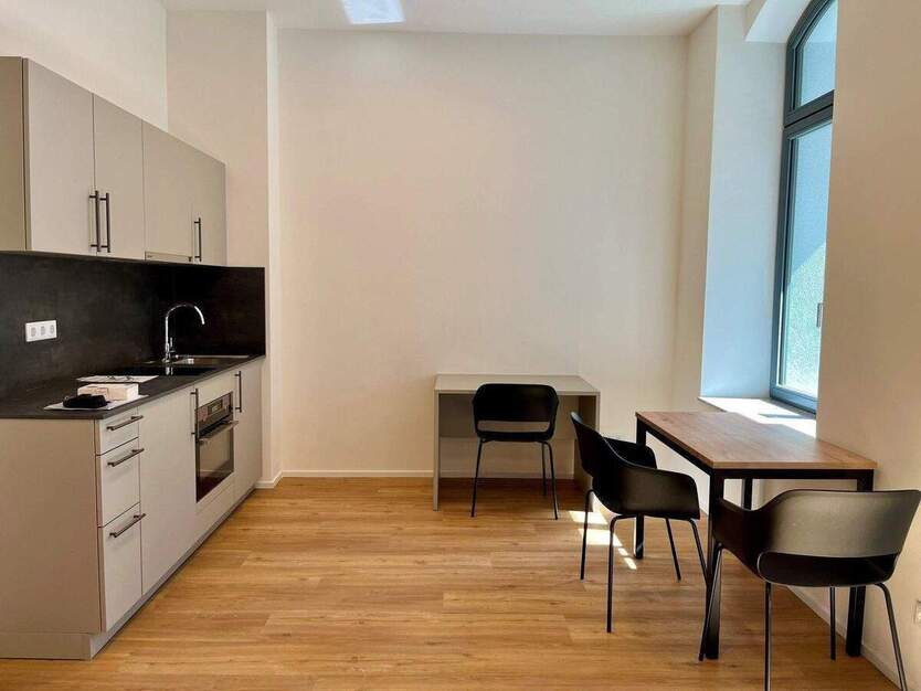 Loftige, möblierte 1-Zimmer-Wohnung mit großer Terrasse zum Erstbezug! 1 zimmer