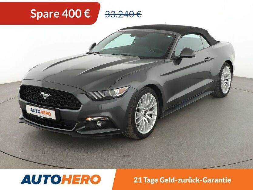 Mustang