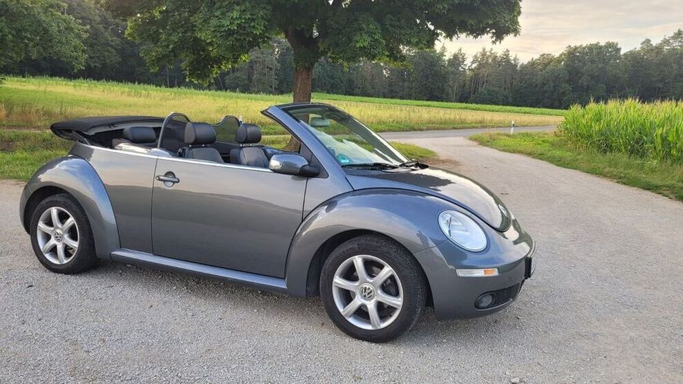 Beetle