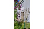 Reihenhaus Fürth Südstadt - 5 Zimmer, 139 m&sup2;, 639.000&euro; | Angebot:27225296
