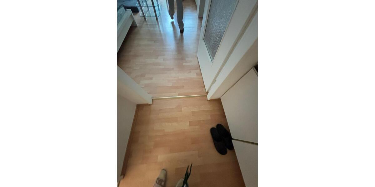 Modernisierte 1-Zimmer-Wohnung mit Loggia & neuer Einbauküche 1 zimmer