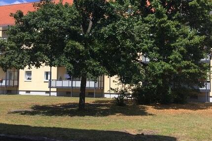 3 Zimmerwohnung mit Balkon! 3 zimmer