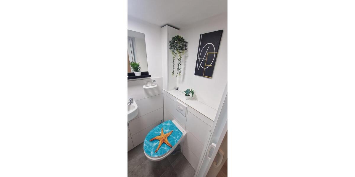 One Room Appartment with Toilette, Shower, Kitchen etc inside 1 zimmer