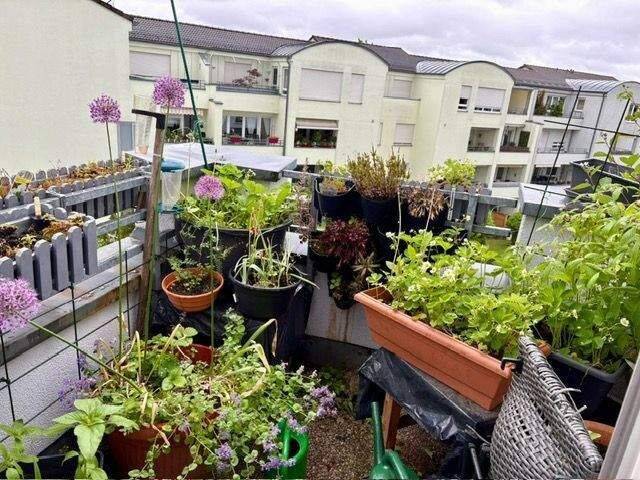 Etagenwohnung Nürnberg Röthenbach b Schweinau - 3 Zimmer, 75 m&sup2;, 286.000&euro; | Angebot:26826925