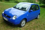 Lupo