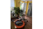Etagenwohnung Nürnberg Eberhardshof - 3 Zimmer, 85 m&sup2;, 1.100&euro; | Angebot:27586498