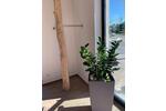 Gewerbeobjekt Nürnberg Eibach - 600&euro; | Angebot:25945880